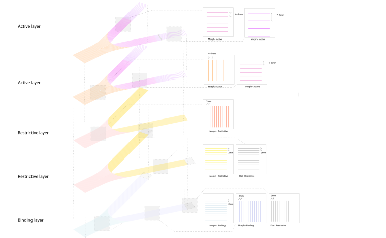 Figure 2B