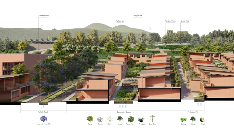 Community Perspective Section