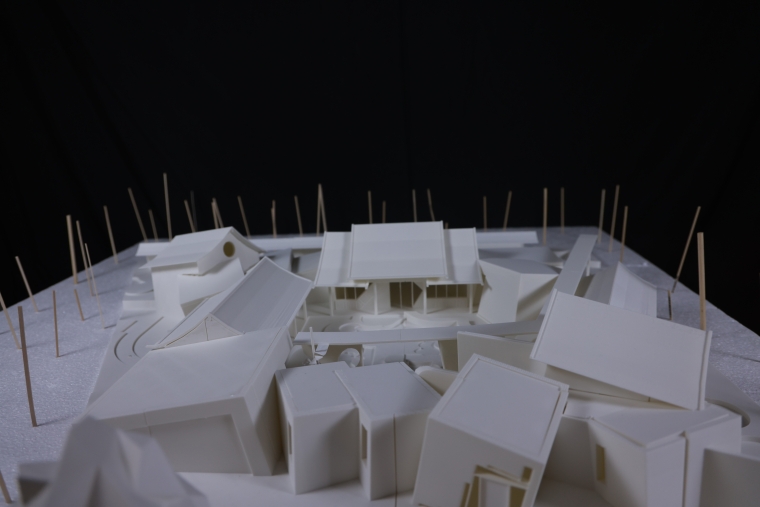 Model Image