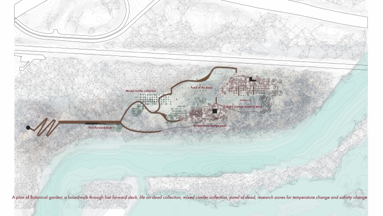 A plan of botanical garden for Ghost forest showing a boardwalk through fast forward deck, life on the dead collection, mixed conifer collection, pond of dead, research zone for temperature increase and salinity increase.