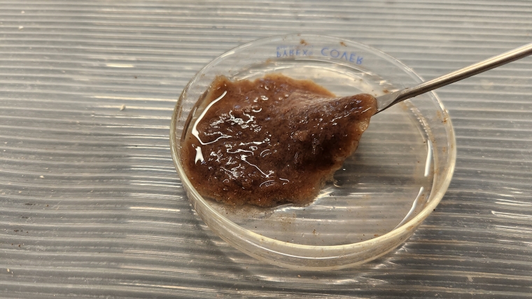 Psyllium husk gel in a petri dish.