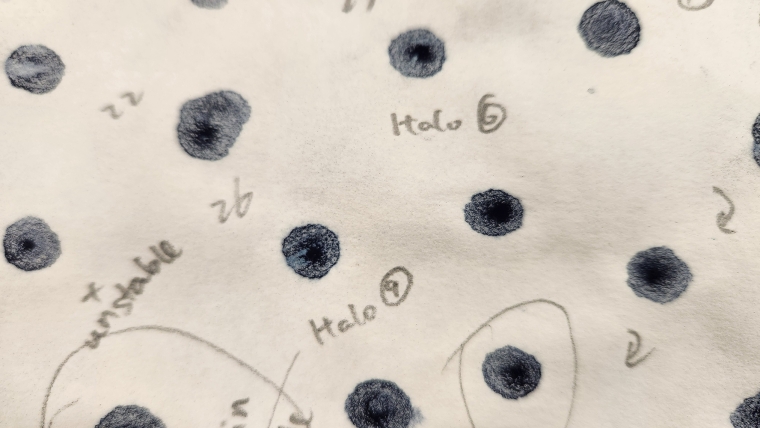 The Methylene Blue Test results.