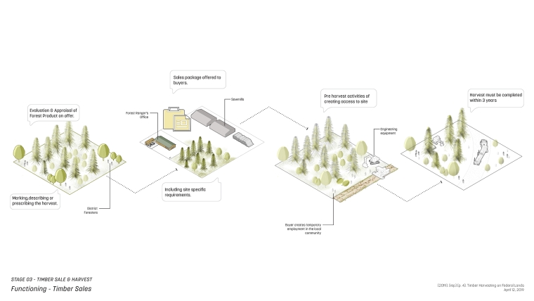 Series of diagrams showing timber processes executed by USFS within the National Forest Systems 