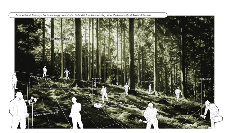 Visual of forest service officers engaging in climate smart forestry within the functioning of USFS. 