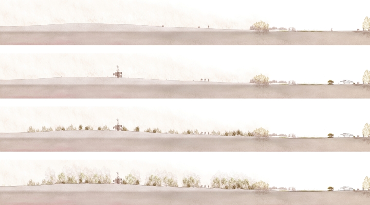 Four sections showing progression of dune-building over time after the introduction of dune restoration fences. 