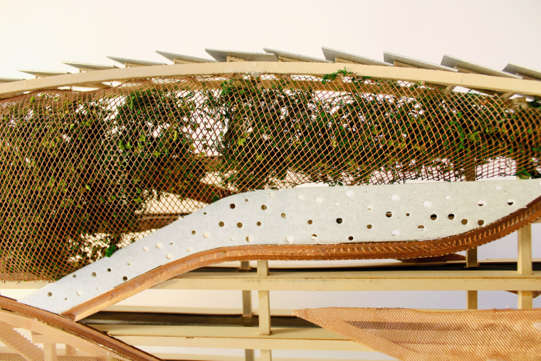 Model Details