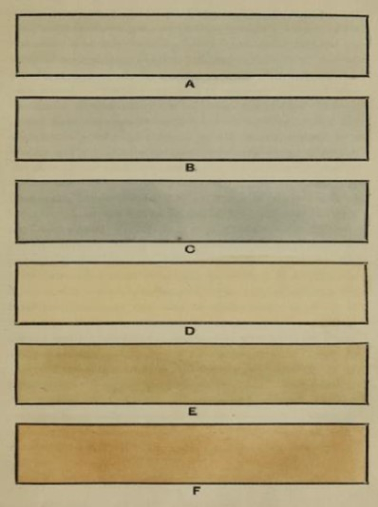 Downing suggested these six color schemes for the exteriors of cottages, villas, and country homes, as depicted in his book Cottage Residences (pp. 14-15). This color plate showcases Downing's tasteful use of drab colors, which he referred to as "straw, green, gray, and fawn," to enhance the beauty and character of the buildings to their natural surroundings.