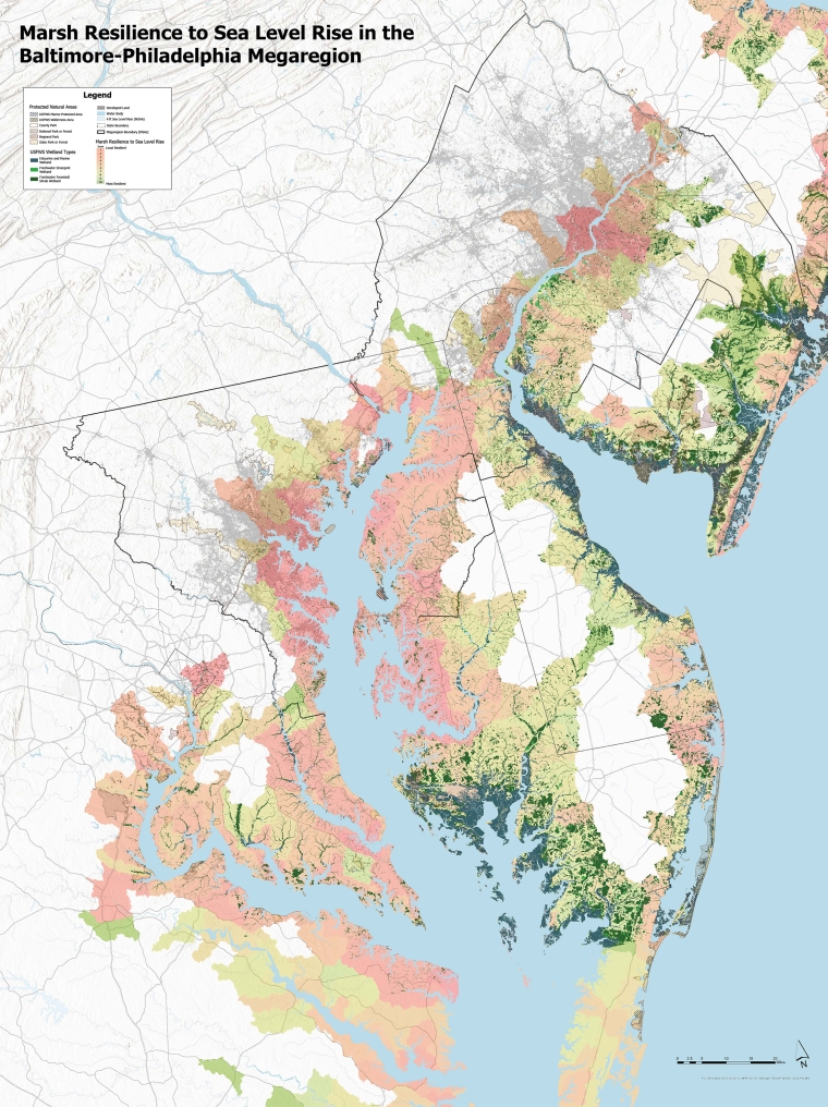 Marshes in the megaregion an existential threat if the natural rate of regeneration does not keep pace with projected sea level rise.