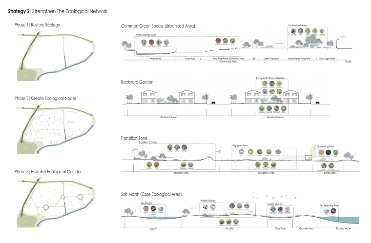 Ecological enrichment strategies: connecting community and salt marshes and building ecological networks