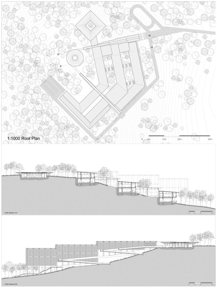 Roof Plan & Sections