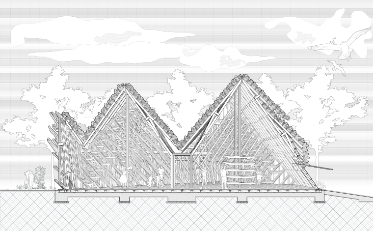 Section Drawing of Overall Building