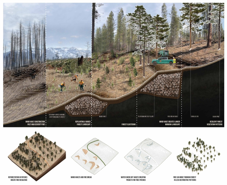 Wood vaults in the forest create resilient patterns where fires burn in clusters instead of sweeping through entire stands. Wood vaults also contribute to a greater working forest landscape and generate revenue through carbon credits..