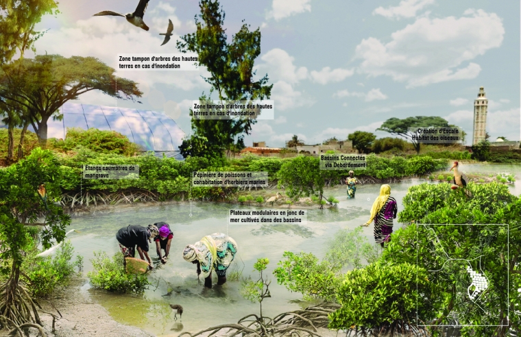 Integrated Mariculture Basins: A key component of the lagoon system that is vital to increasing biodiversity and the ecosystem services economy are shown here.