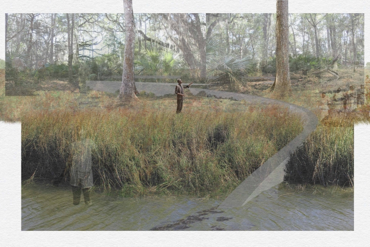 Image of sinuous wall coming out of forest and going into marsh water.