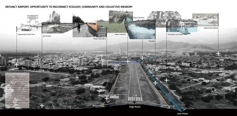 Opportunity to Reconnect Ecology