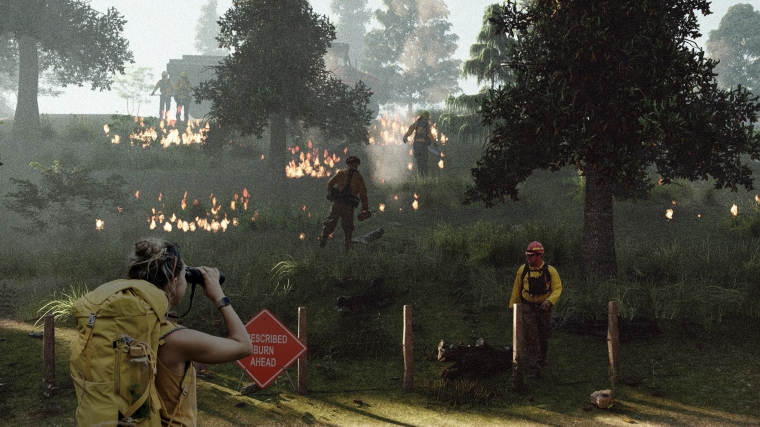 View showing trail experience that people are able to seeing forest treatment