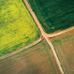 Aeriel view of a field transected by two dirt roads