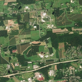 Aerial view of green farmland