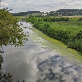 A stream running past a green field