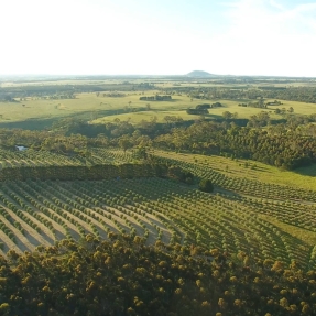 Aerial view of a farm