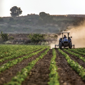 Tractor plowing a green field