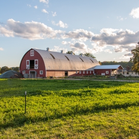 Large red barn set in a green field