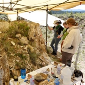 Three people conserving a fossilized tree trunk