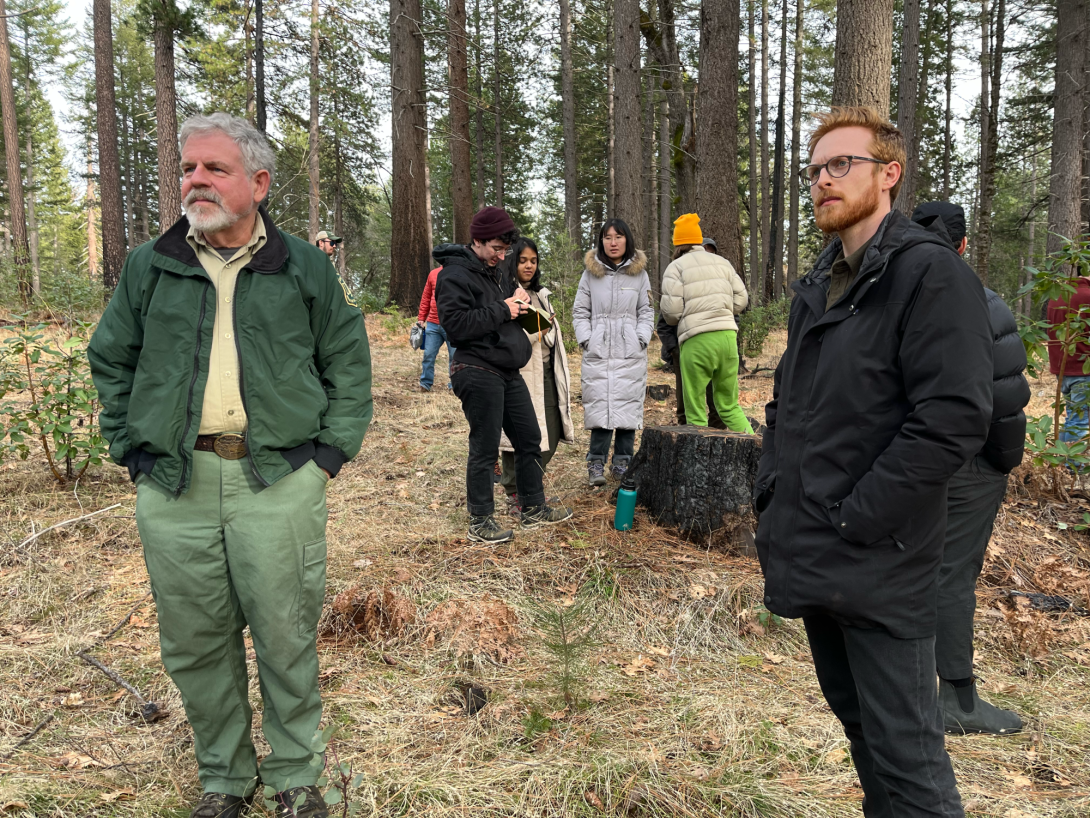 Men and women standing in forest gaze into distance