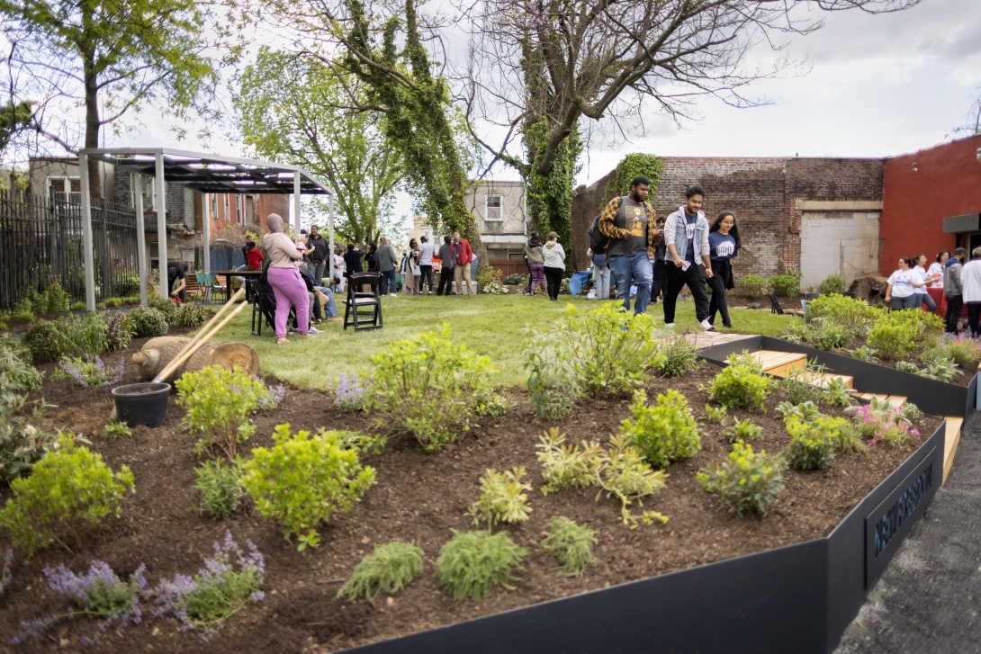 Ground-level view of plantings with people in the distance