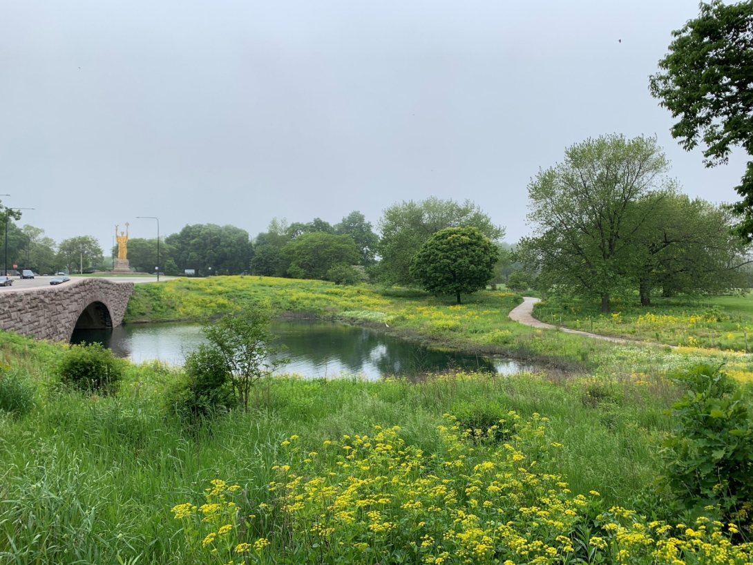 green landscape with pond and trees