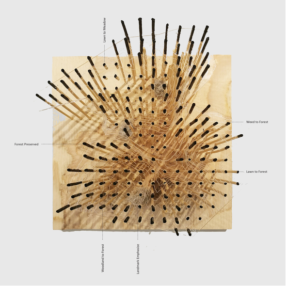 Conceptual model showing the transformation of landscape types on site