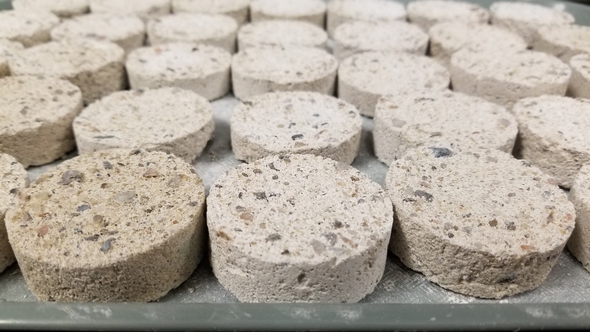 Rows of cut lime samples