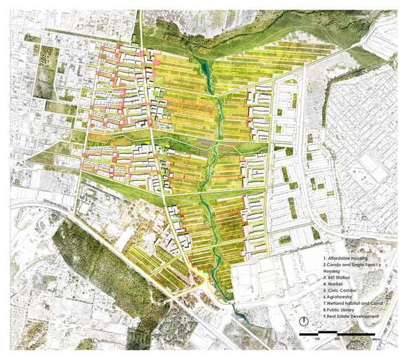 Engaging local community with agriculture to create a multi-scale agri-urban system