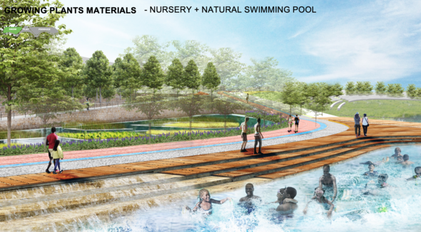 Natural swimming pool+ Shoreline Nursery