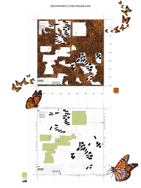 Master plan for Monarch garden events