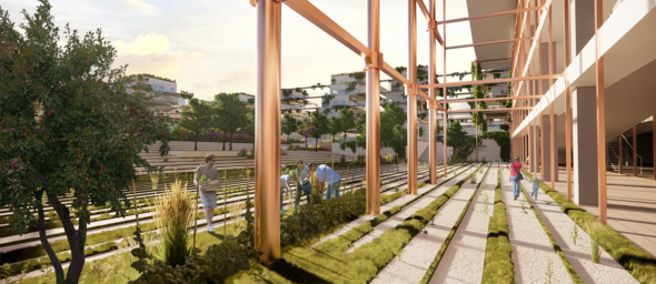 View from plaza looking onto plaza, filled with Texas prairie grass and vegetation, copper scaffold hugs building