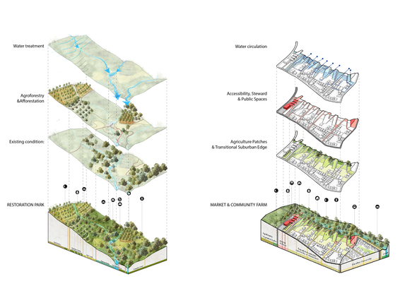 Transitional edge: Community shared farm & Restoration Park