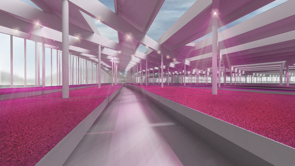 Interior perspective of hydroponic growing beds