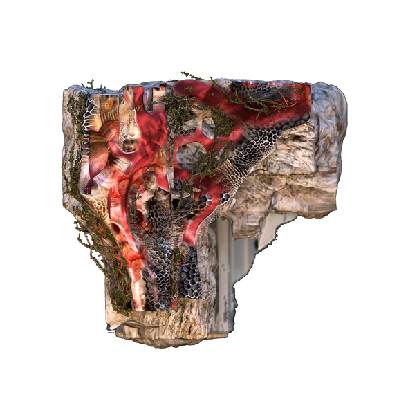 Chunk rendering of a structure resembling animal organs