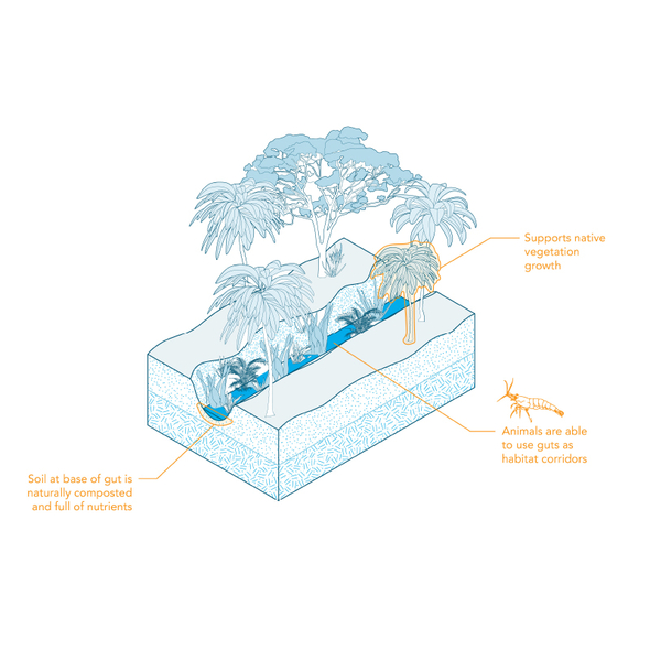 Rendering for resilience plan