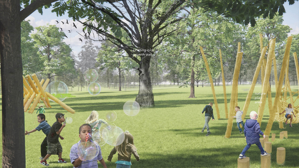 Children playing in an oak grove 