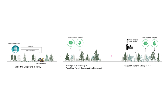 Washington Corporate Timber Industry Buyout Process