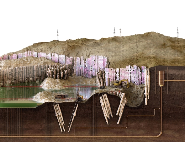 Chimeric bloom_Garden section