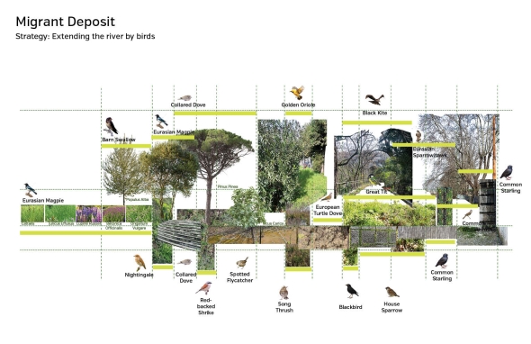 Migrant Deposit in Rome. Strategy: Extending the river by birds