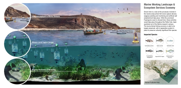 Marine Working Landscape & Ecosystem Services Economy