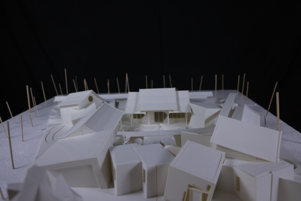 Model Image