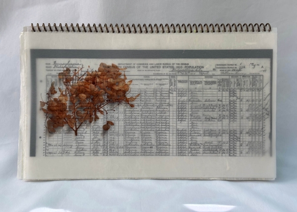 Sheet number 3 from 1910 survey of Edgley Street Residents.