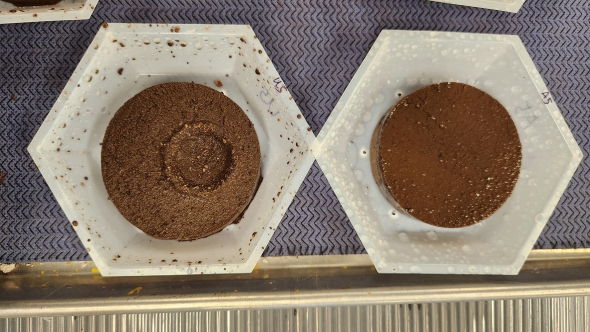 Psyllium husk amended (left) and unamended (right) shelter coat samples after Water Erosion Test. 