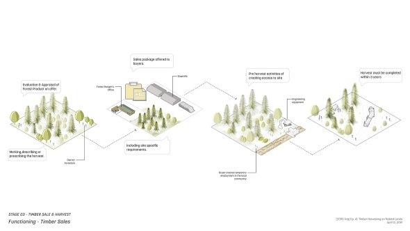 Series of diagrams showing timber processes executed by USFS within the National Forest Systems 
