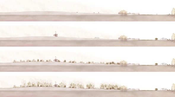 Four sections showing progression of dune-building over time after the introduction of dune restoration fences. 